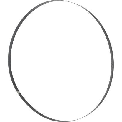 Holzmann Bandsägeblatt 10 Mm Für Holzbandsäge HBS245HQ 1 Holzmann Bandsägeblatt 10 Mm Für Holzbandsäge HBS245HQ